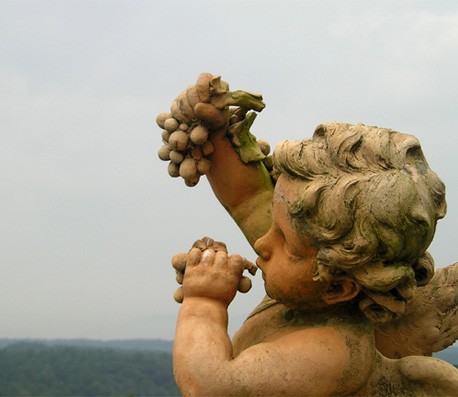 在线电话呼死你