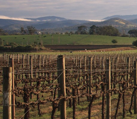 获取手机号验证码平台